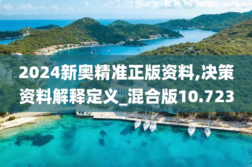 2024新奥精准正版资料,决策资料解释定义_混合版10.723