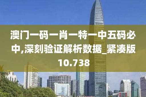 澳门一码一肖一特一中五码必中,深刻验证解析数据_紧凑版10.738