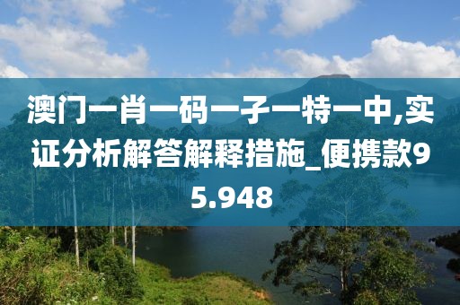 澳门一肖一码一孑一特一中,实证分析解答解释措施_便携款95.948