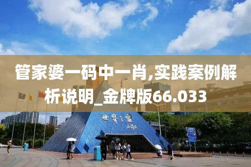 管家婆一码中一肖,实践案例解析说明_金牌版66.033