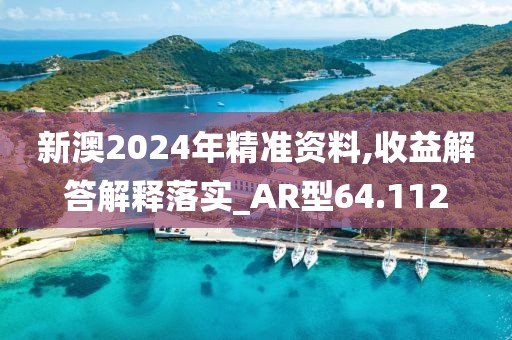 新澳2024年精准资料,收益解答解释落实_AR型64.112