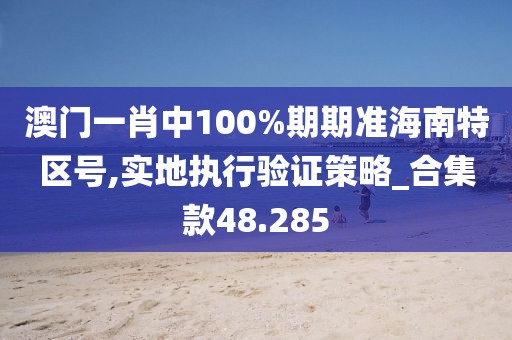 澳门一肖中100%期期准海南特区号,实地执行验证策略_合集款48.285