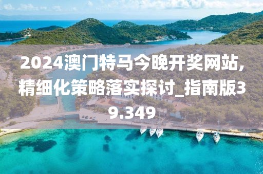 2024澳门特马今晚开奖网站,精细化策略落实探讨_指南版39.349