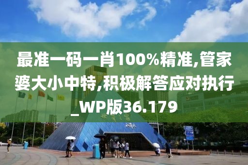 最准一码一肖100%精准,管家婆大小中特,积极解答应对执行_WP版36.179