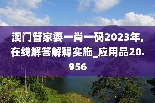 澳门管家婆一肖一码2023年,在线解答解释实施_应用品20.956
