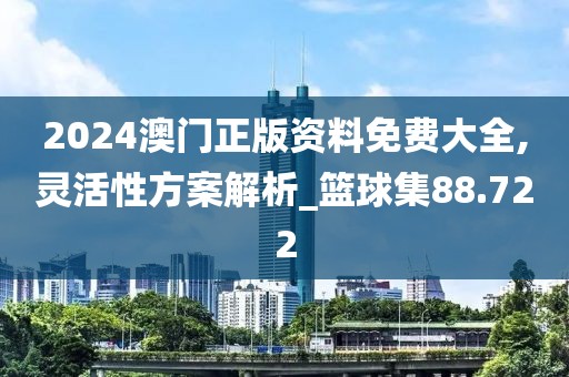 2024澳门正版资料免费大全,灵活性方案解析_篮球集88.722