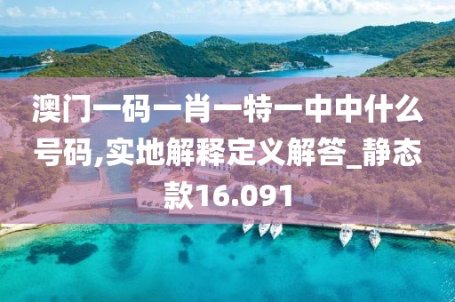 澳门一码一肖一特一中中什么号码,实地解释定义解答_静态款16.091