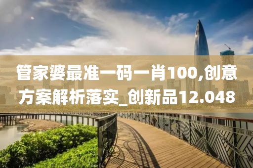 管家婆最准一码一肖100,创意方案解析落实_创新品12.048