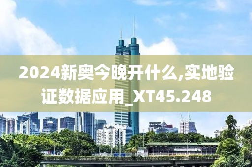 2024新奥今晚开什么,实地验证数据应用_XT45.248