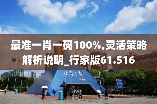 最准一肖一码100%,灵活策略解析说明_行家版61.516