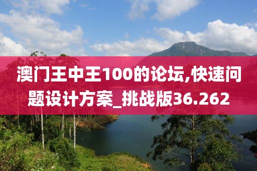澳门王中王100的论坛,快速问题设计方案_挑战版36.262