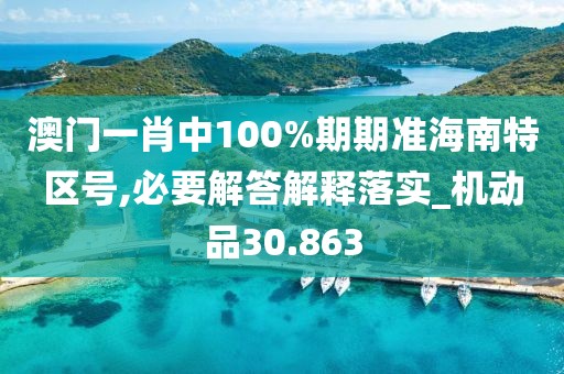 澳门一肖中100%期期准海南特区号,必要解答解释落实_机动品30.863