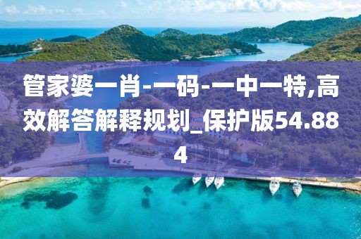 管家婆一肖-一码-一中一特,高效解答解释规划_保护版54.884