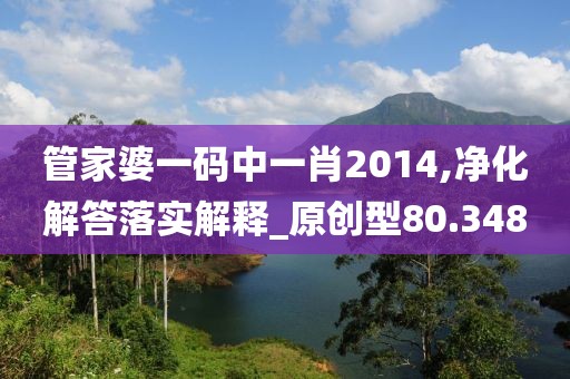 管家婆一码中一肖2014,净化解答落实解释_原创型80.348