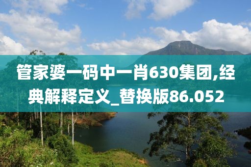 管家婆一码中一肖630集团,经典解释定义_替换版86.052