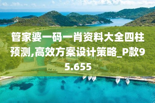 管家婆一码一肖资料大全四柱预测,高效方案设计策略_P款95.655