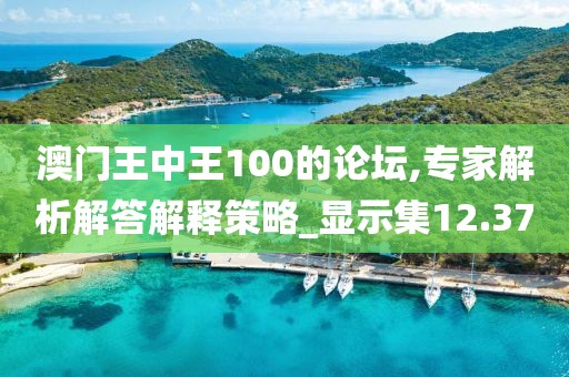 澳门王中王100的论坛,专家解析解答解释策略_显示集12.37