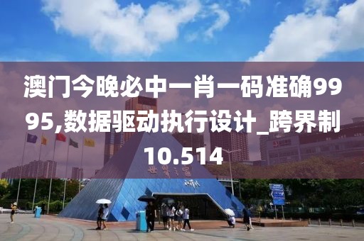 澳门今晚必中一肖一码准确9995,数据驱动执行设计_跨界制10.514