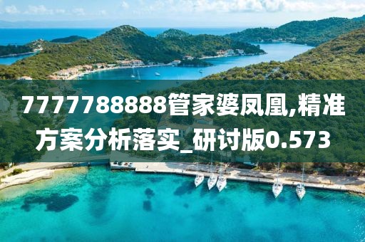 7777788888管家婆凤凰,精准方案分析落实_研讨版0.573
