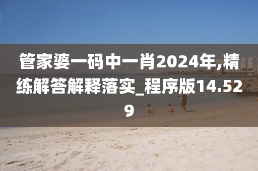 管家婆一码中一肖2024年,精练解答解释落实_程序版14.529