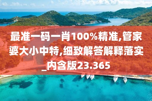 最准一码一肖100%精准,管家婆大小中特,细致解答解释落实_内含版23.365