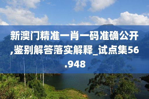 新澳门精准一肖一码准确公开,鉴别解答落实解释_试点集56.948