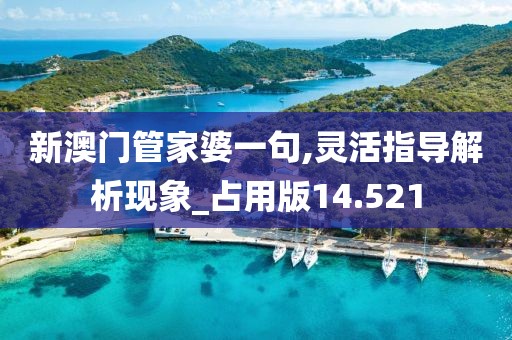 新澳门管家婆一句,灵活指导解析现象_占用版14.521