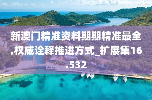 新澳门精准资料期期精准最全,权威诠释推进方式_扩展集16.532