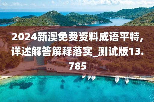 2024新澳免费资料成语平特,详述解答解释落实_测试版13.785