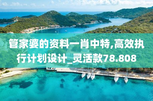 管家婆的资料一肖中特,高效执行计划设计_灵活款78.808