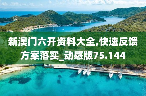 新澳门六开资料大全,快速反馈方案落实_动感版75.144