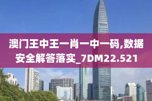 澳门王中王一肖一中一码,数据安全解答落实_7DM22.521