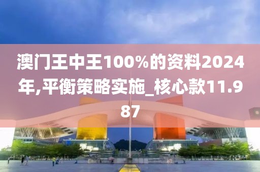 澳门王中王100%的资料2024年,平衡策略实施_核心款11.987