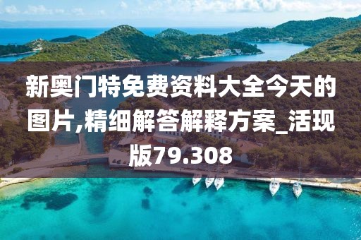 新奥门特免费资料大全今天的图片,精细解答解释方案_活现版79.308