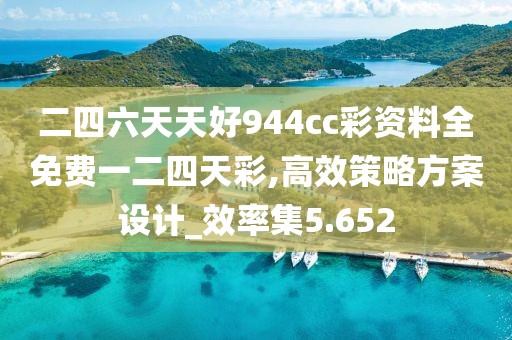 二四六天天好944cc彩资料全免费一二四天彩,高效策略方案设计_效率集5.652