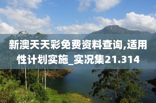 新澳天天彩免费资料查询,适用性计划实施_实况集21.314