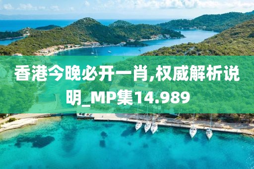 香港今晚必开一肖,权威解析说明_MP集14.989