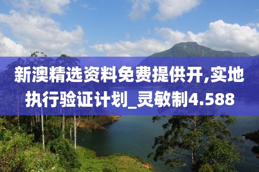 新澳精选资料免费提供开,实地执行验证计划_灵敏制4.588