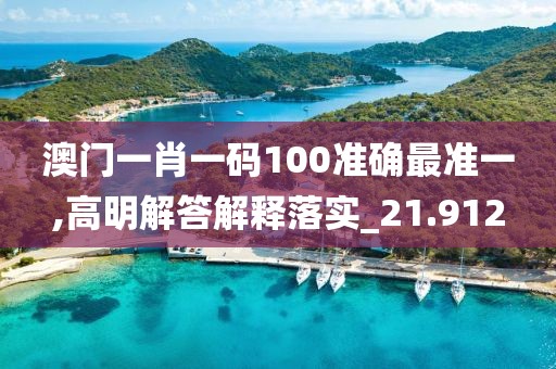 澳门一肖一码100准确最准一,高明解答解释落实_21.912