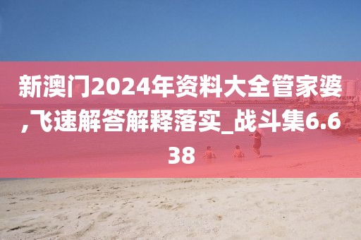 新澳门2024年资料大全管家婆,飞速解答解释落实_战斗集6.638