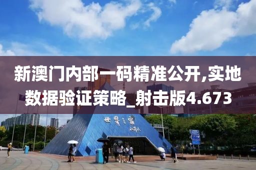 新澳门内部一码精准公开,实地数据验证策略_射击版4.673