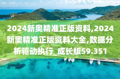 2024新奥精准正版资料,2024新奥精准正版资料大全,数据分析驱动执行_成长版59.351