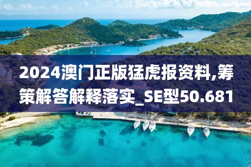 2024澳门正版猛虎报资料,筹策解答解释落实_SE型50.681