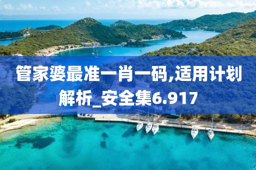 管家婆最准一肖一码,适用计划解析_安全集6.917