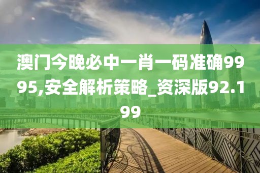澳门今晚必中一肖一码准确9995,安全解析策略_资深版92.199