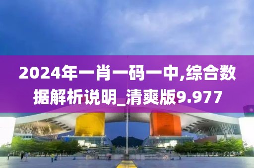 2024年一肖一码一中,综合数据解析说明_清爽版9.977