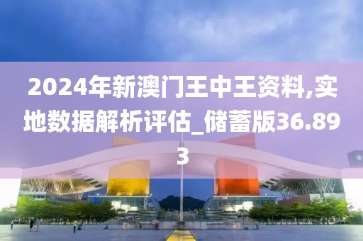 2024年新澳门王中王资料,实地数据解析评估_储蓄版36.893