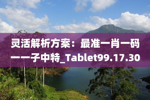 灵活解析方案：最准一肖一码一一子中特_Tablet99.17.30
