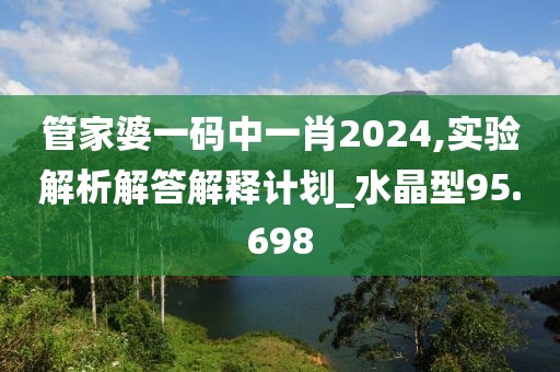 管家婆一码中一肖2024,实验解析解答解释计划_水晶型95.698