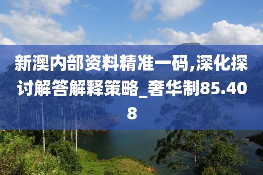 新澳内部资料精准一码,深化探讨解答解释策略_奢华制85.408